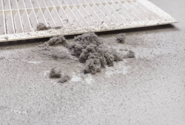 Best Affordable HVAC Duct Cleaning  in Cuba City, WI