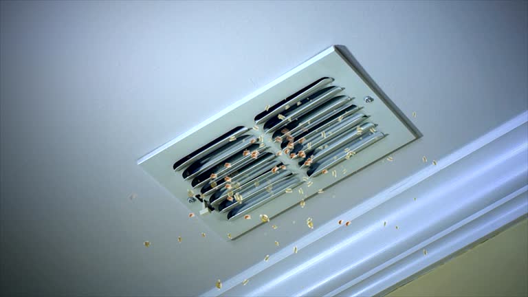 Best Air Duct Cleaning Company Near Me  in Cuba City, WI