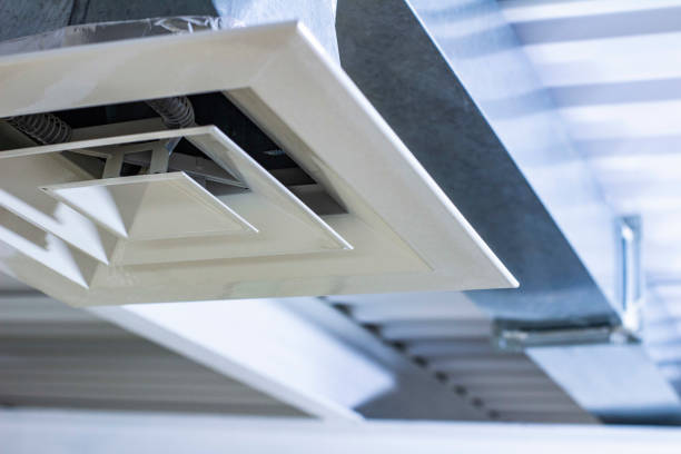 Best Air Duct Sanitizing Services  in Cuba City, WI