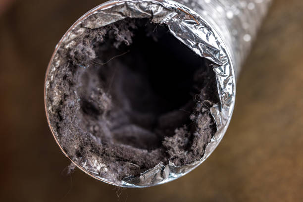 Best Air Duct Mold Removal  in Cuba City, WI