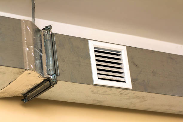 Best Dryer Vent Cleaning Services  in Cuba City, WI